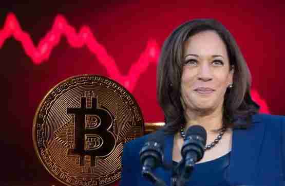 Bernstein：哈里斯胜选恐致比特币回测4万美元！比特币下杀6万美元